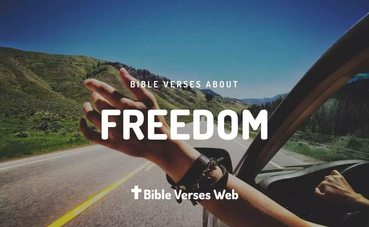 31 Bible Verses About Freedom King James Version