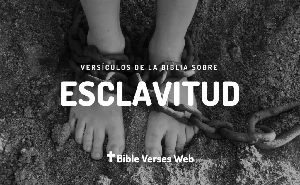 ▷▷ 20 Versículos de la Biblia Sobre la Esclavitud | RVR1960