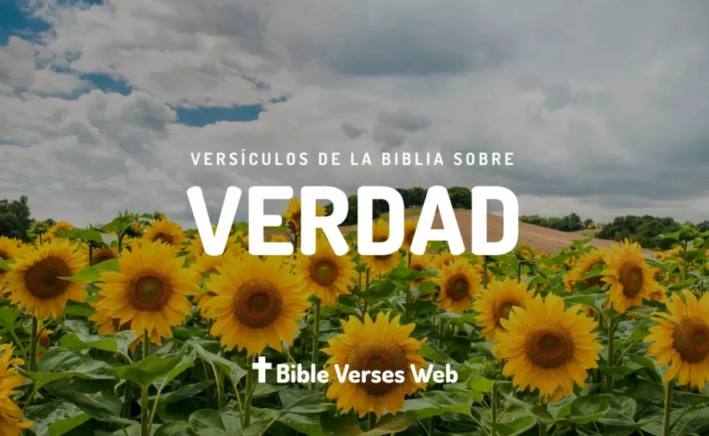 ▷▷ 30 Versículos de la Biblia Sobre la Verdad | RVR1960