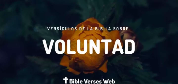 Versículos Sobre La Voluntad de Dios - Reina Valera