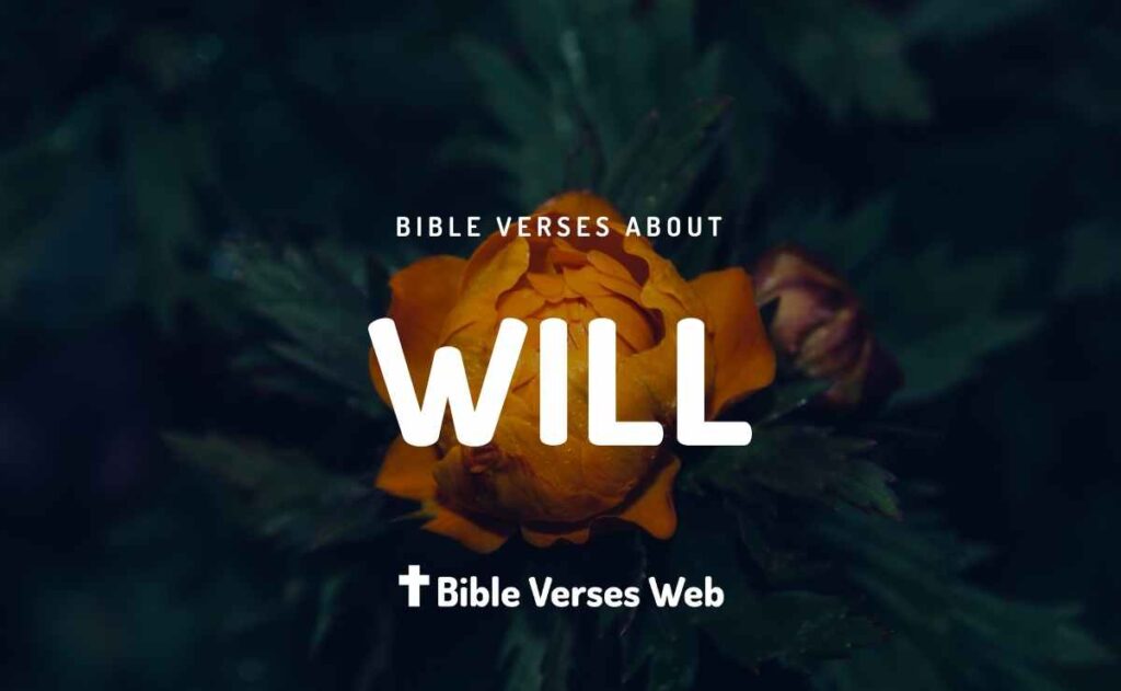 Bible Verses About God's Will - King James Version (KJV)