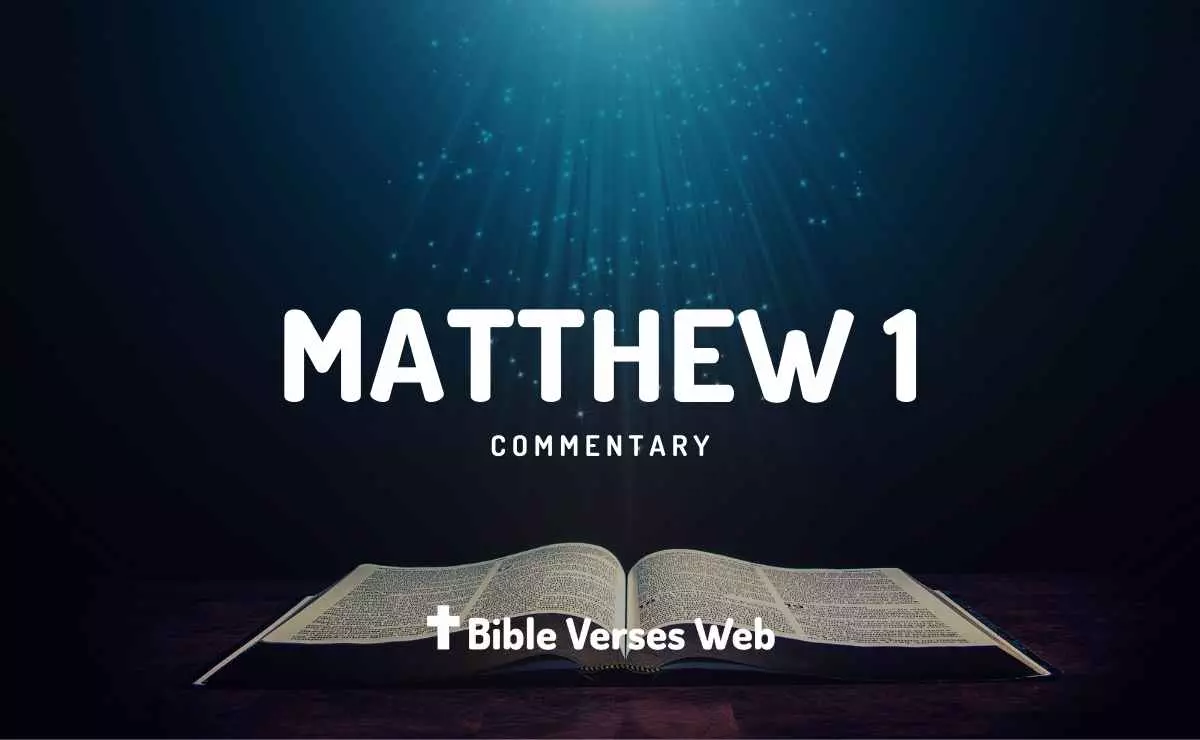 Matthew 1 Commentary (Concise) | Bible Verses Web