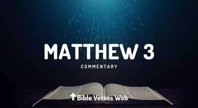 Matthew 3 Commentary (Concise)