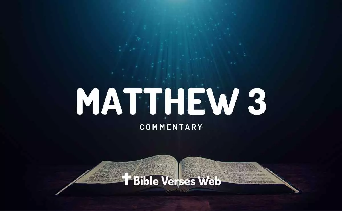 matthew-3-commentary-concise-bible-verses-web