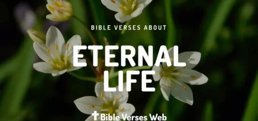 Bible Verses About Eternal Life - King James Version (KJV)