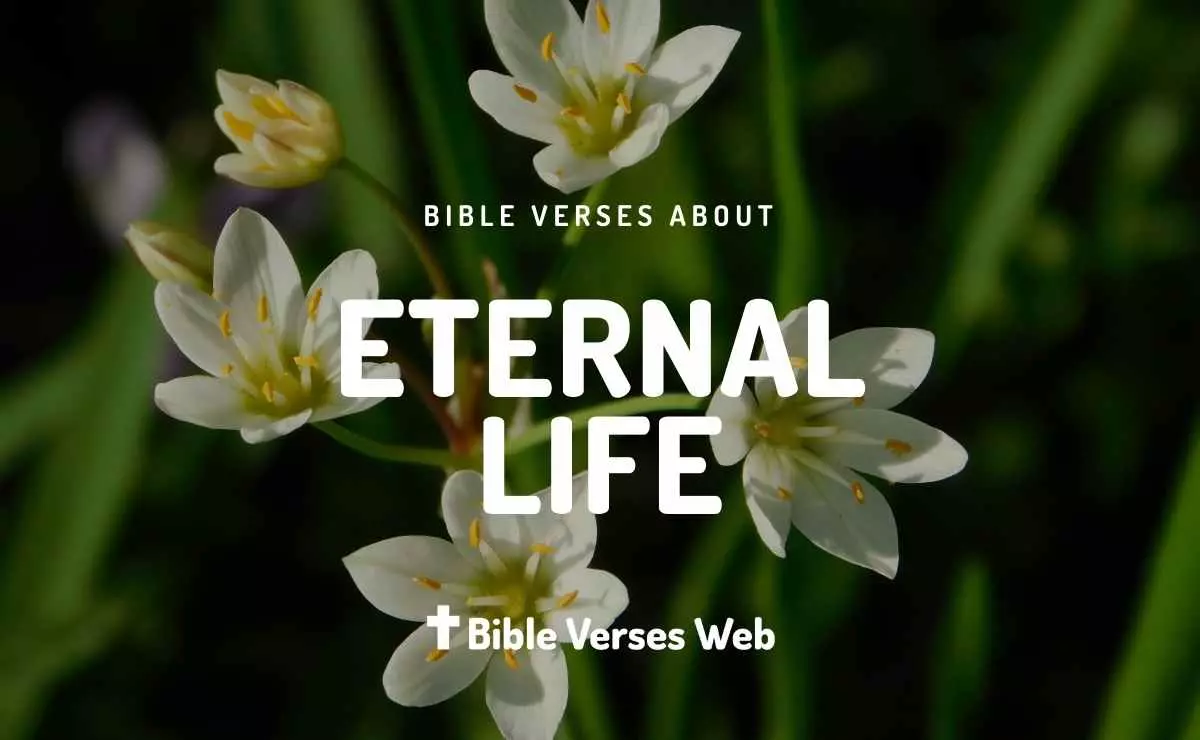 36 Bible Verses About Eternal Life | King James Version