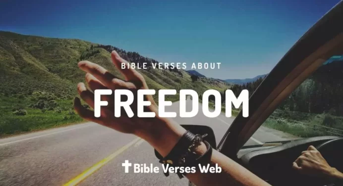 31 Bible Verses About Freedom King James Version (KJV)